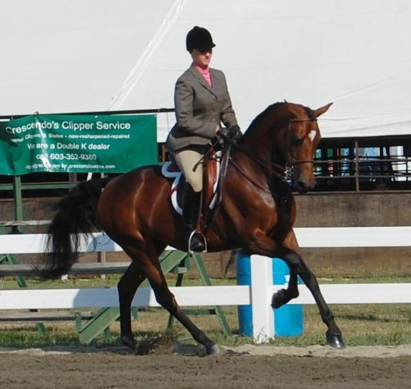 65885_496845607592_7357872_n