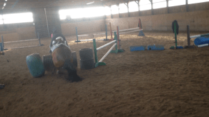 The oh so gracefull fall.