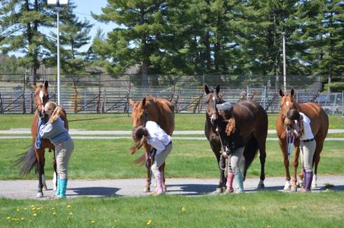 10325230_691061097617323_2764031059073273532_n