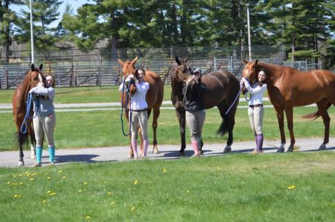 1549396_691061684283931_5554921565180638975_n