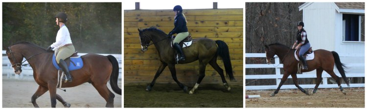 September 2013. March 2014, November 2014