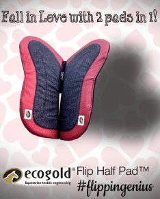 I love ECOGOLDs February advertising!