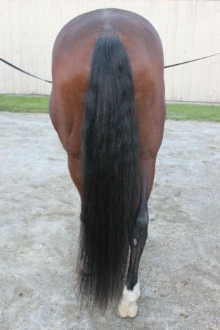 Outside cross-ties are preferable.