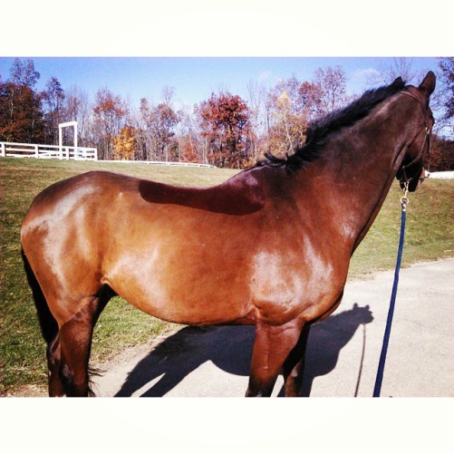 Ax and his fresh hunter clip.