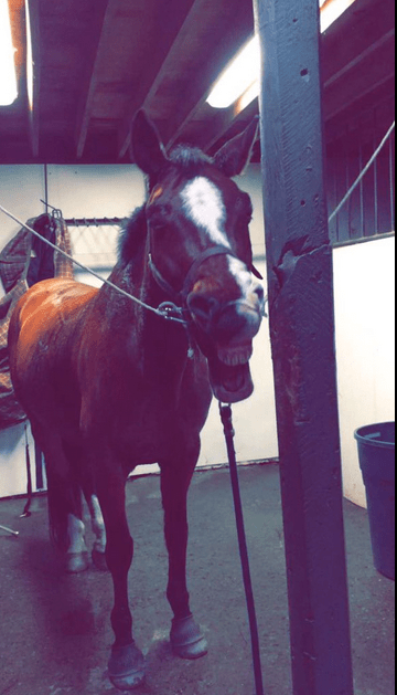 Screen Shot 2015-12-23 at 3.07.53 PM