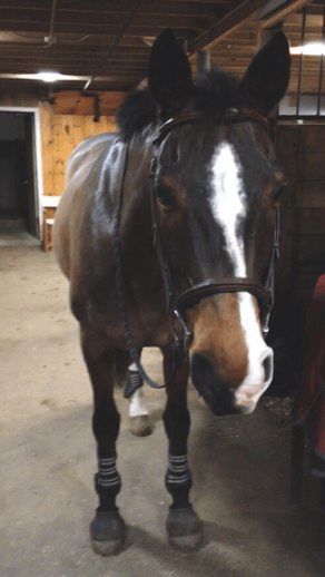 Screen Shot 2015-12-23 at 3.10.22 PM.png