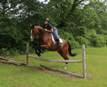 Screen Shot 2015-12-31 at 12.27.00 PM