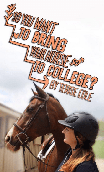 Screen Shot 2015-12-31 at 12.37.47 PM