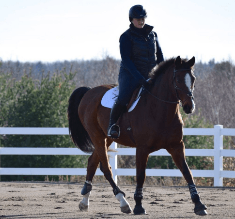 Screen Shot 2015-12-31 at 12.52.54 PM