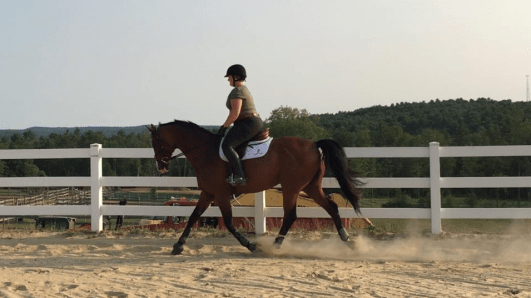 Screen Shot 2016-08-12 at 3.52.42 PM