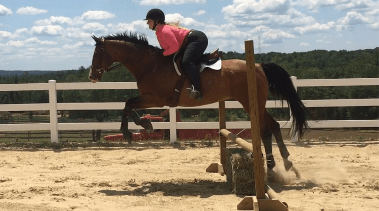 Screen Shot 2016-08-12 at 4.03.02 PM