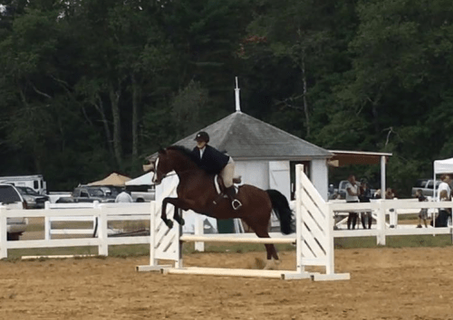 screen-shot-2016-09-21-at-3-43-46-pm