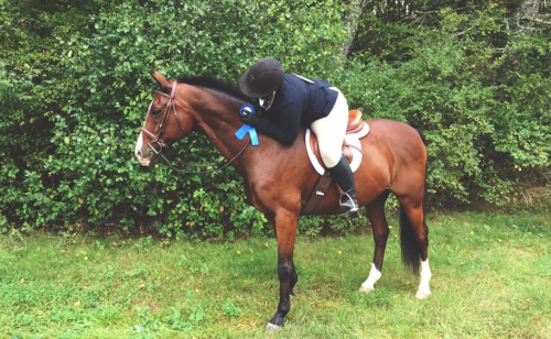 screen-shot-2016-09-21-at-3-44-12-pm