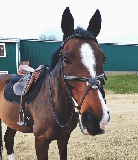 screen-shot-2016-11-08-at-2-55-39-pm