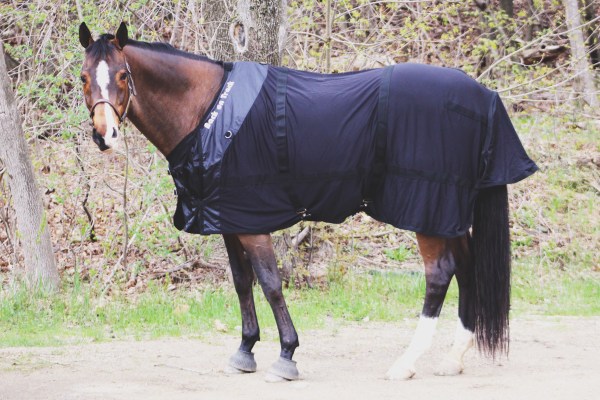 Photo May 03, 8 41 23 PM