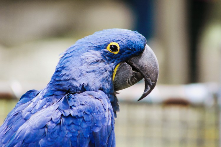 2Southwick Zoo 011-2