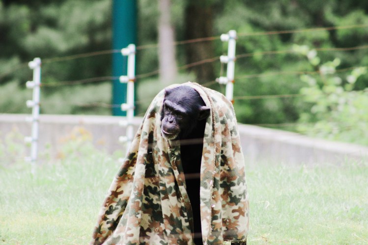 2Southwick Zoo 105-2