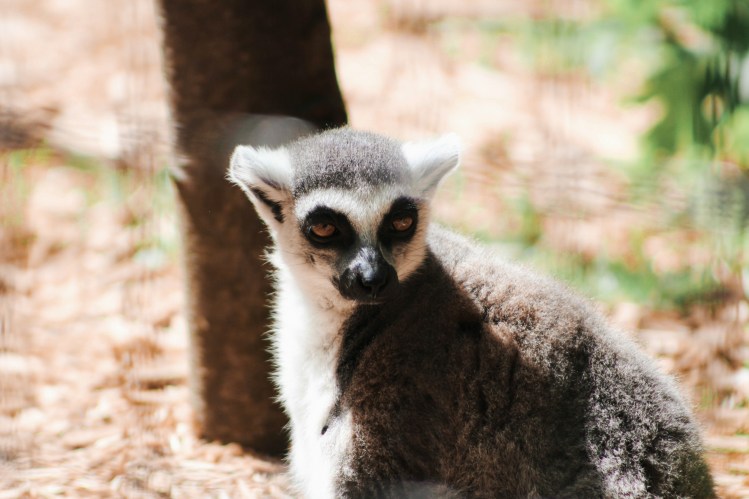 2Southwick Zoo 123-2