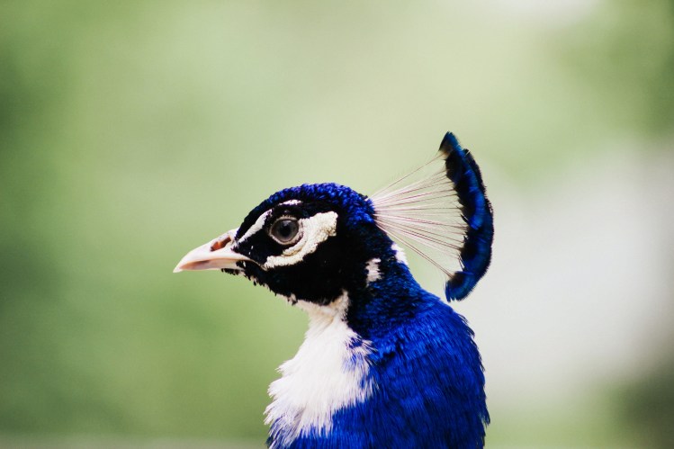 2Southwick Zoo 142-2