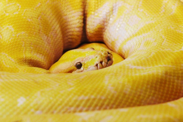 2Southwick Zoo 197-2