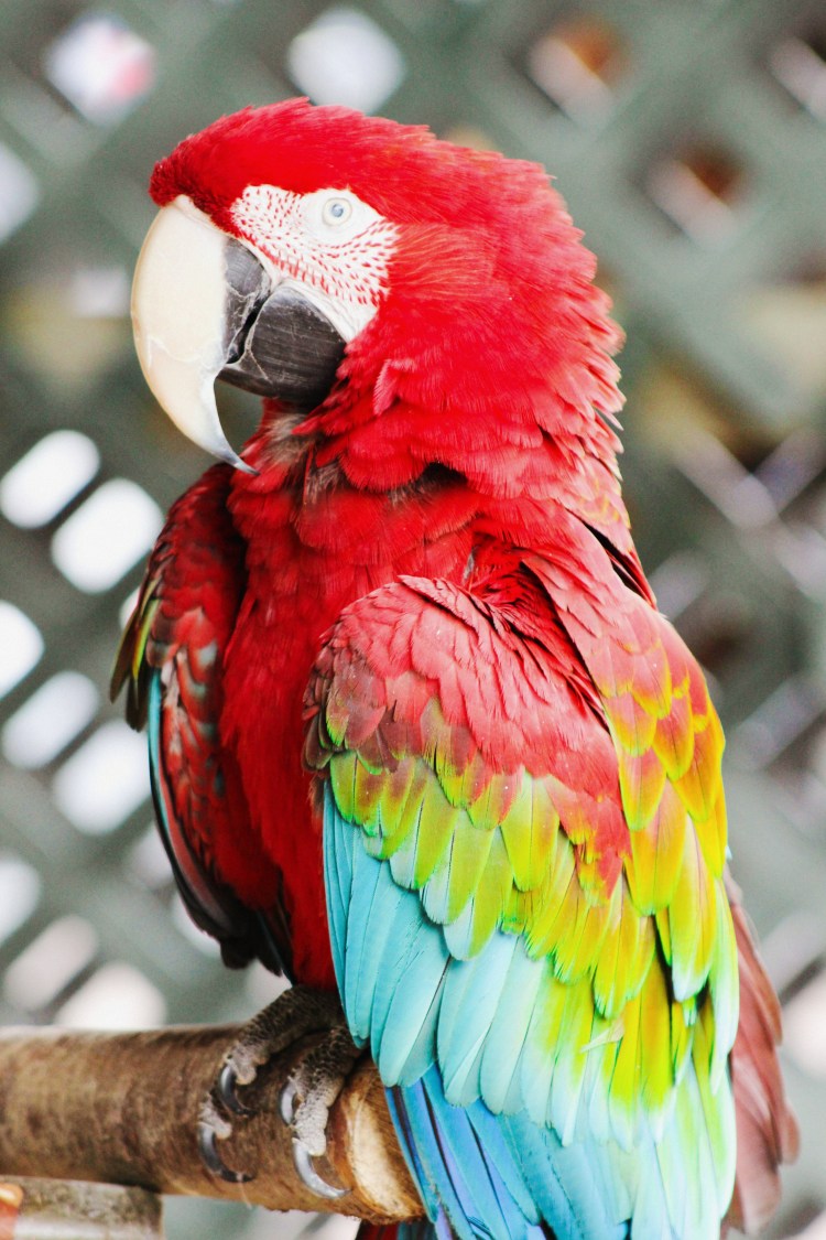 2Southwick Zoo 206-2