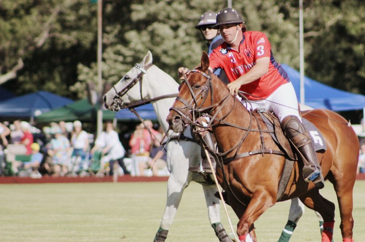 Polo and Wahl Brushes 007