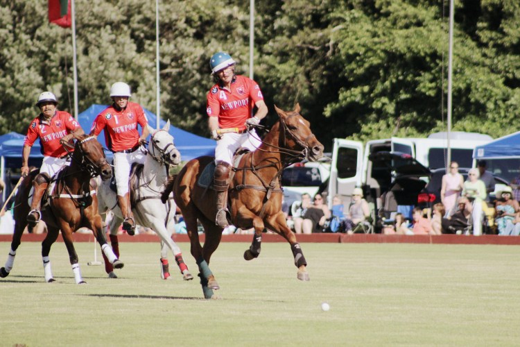 Polo and Wahl Brushes 016