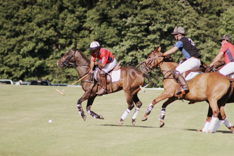 Polo and Wahl Brushes 026