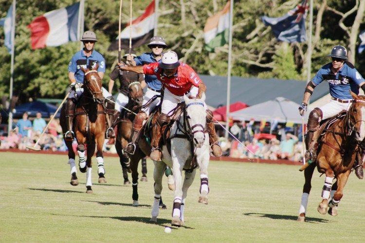 Polo and Wahl Brushes 035