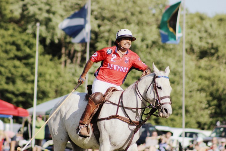 Polo and Wahl Brushes 043