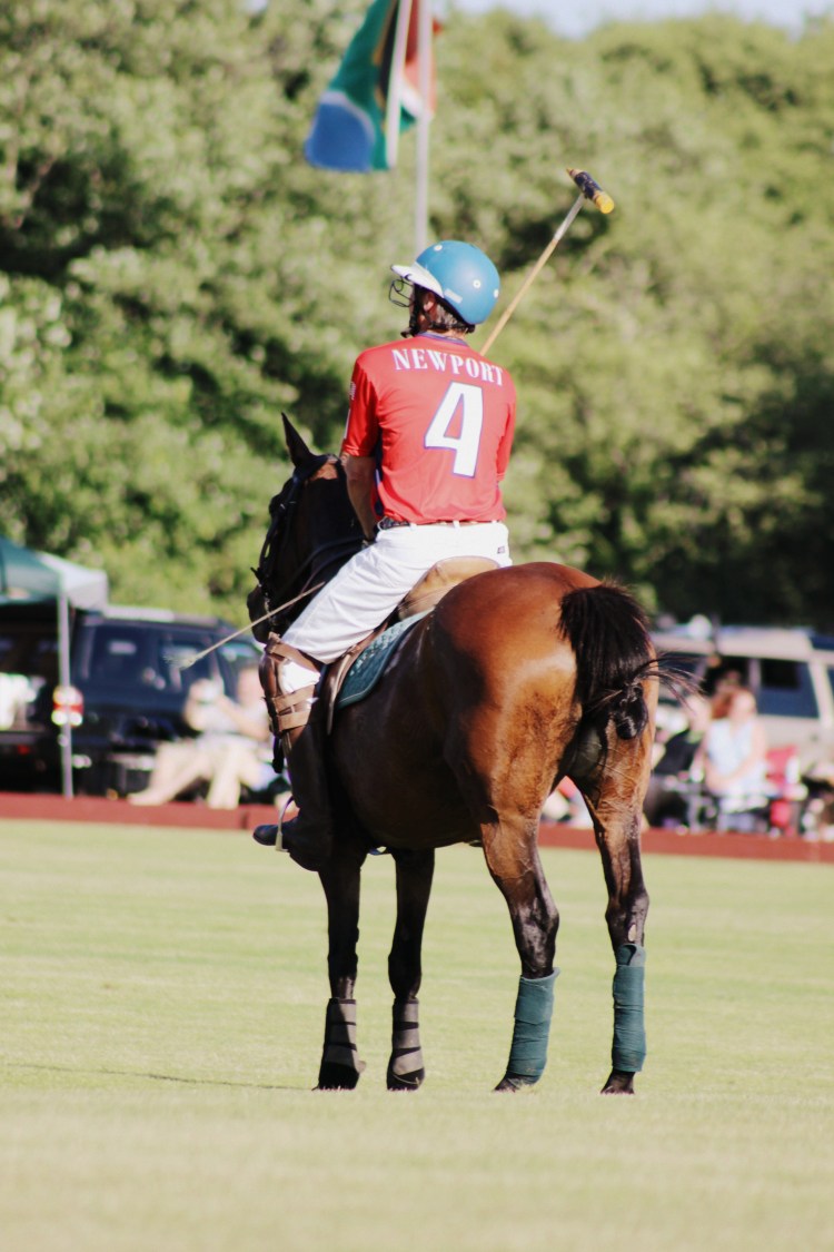 Polo and Wahl Brushes 046