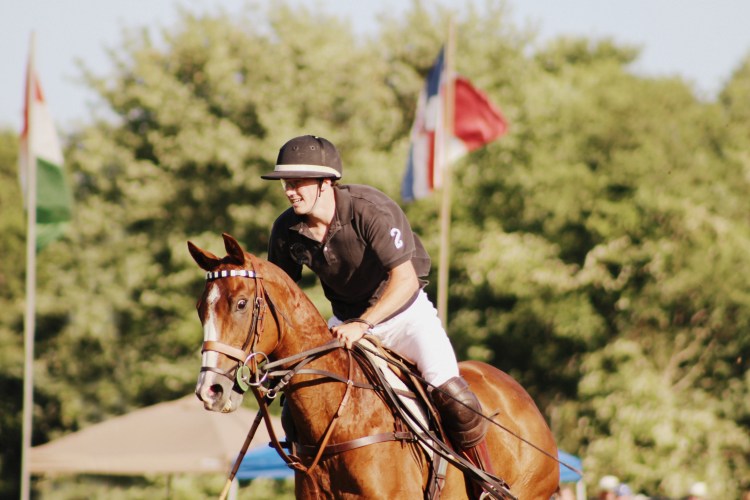 Polo and Wahl Brushes 054