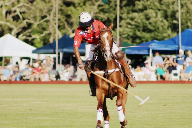 Polo and Wahl Brushes 063