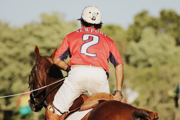 Polo and Wahl Brushes 066