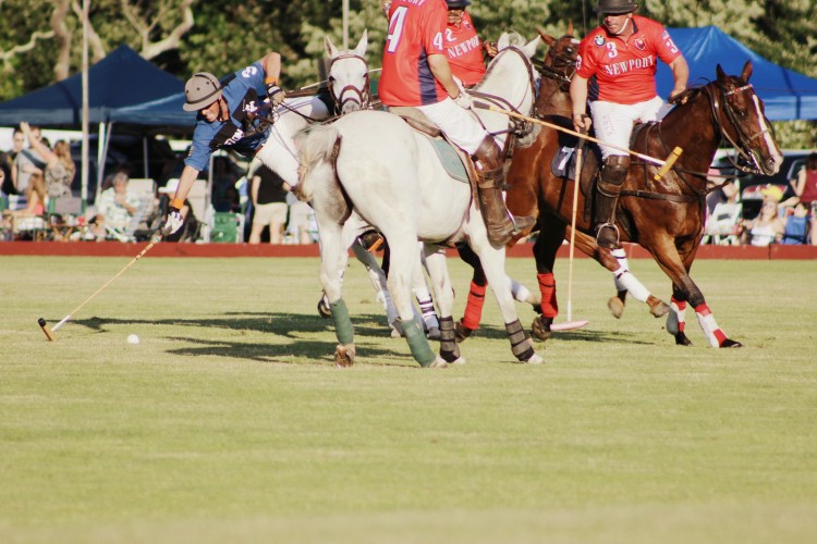 Polo and Wahl Brushes 069