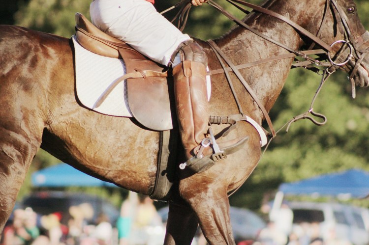 Polo and Wahl Brushes 092