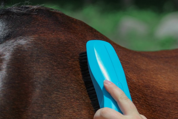 Polo and Wahl Brushes 125