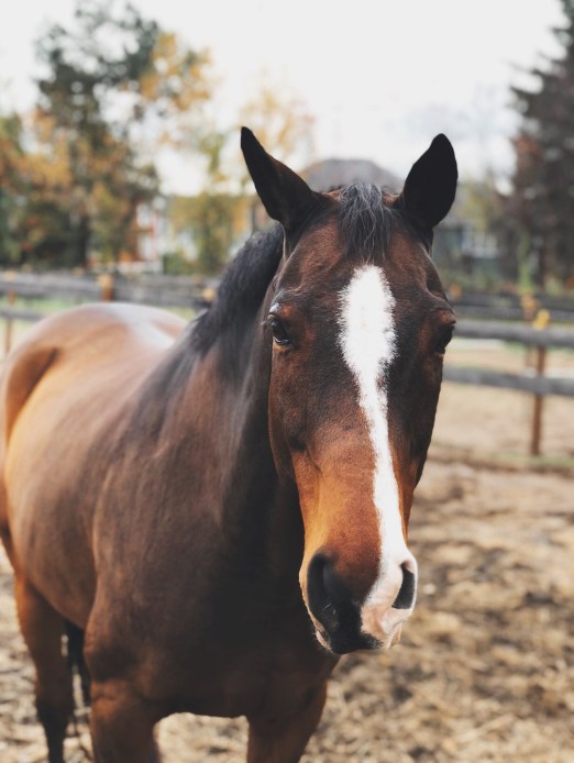 Photo Oct 25, 7 16 11 PM