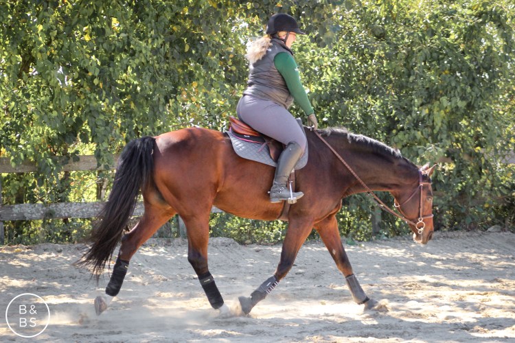 Riding 050-2.jpg