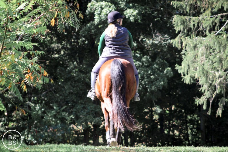 Riding 164-2.jpg