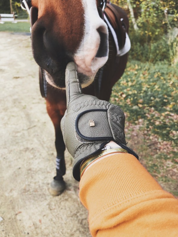 Photo Oct 28, 6 22 09 PM